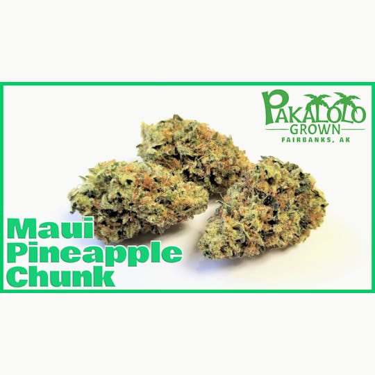 Pakalolo Supply Company - PSC | Maui Pineapple Chunk | Flower | 28G - 1