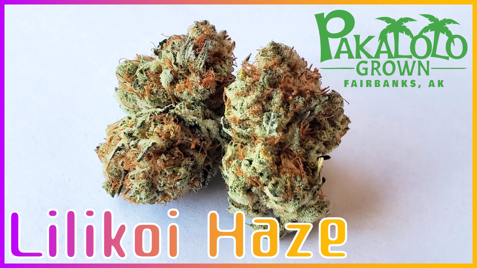 Pakalolo Supply Company - PSC | Lilykoi Haze | Flower | 28G - 1