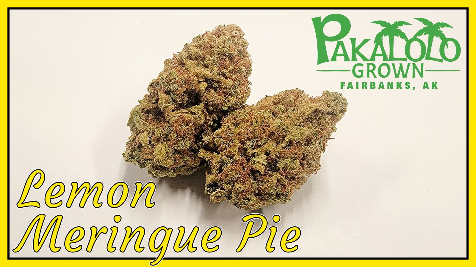 Pakalolo Supply Company - PSC | Lemon Meingue Pie | Flower | 3.5G - 1