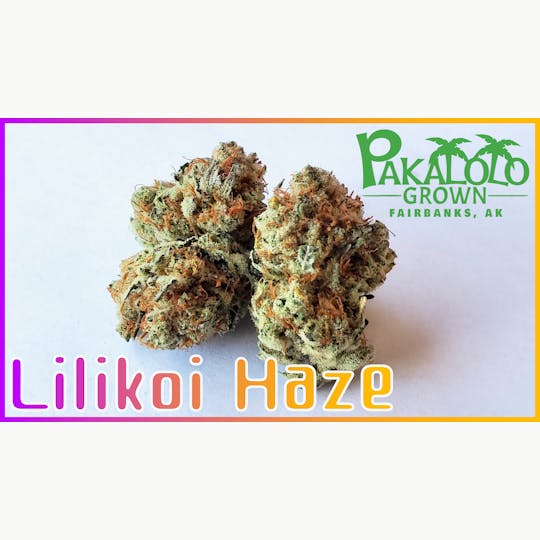Pakalolo Supply Company - PSC | Lilykoi Haze | Flower | 7G - 1