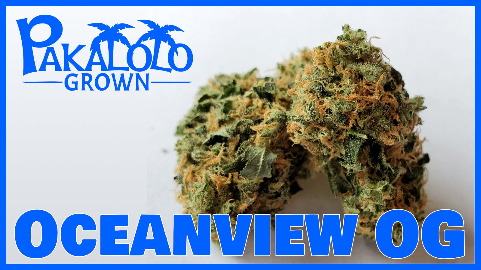 Pakalolo Supply Company - PSC | Oceanview | Flower | 3.5G - 1