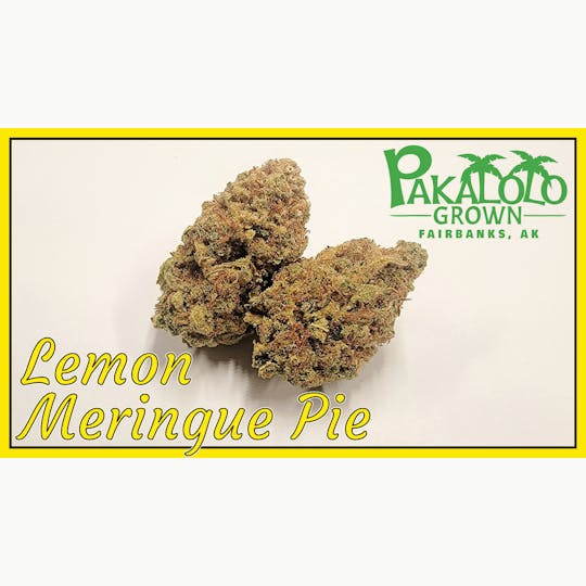 Pakalolo Supply Company - PSC | Lemon Meingue Pie | Flower | 28G - 1