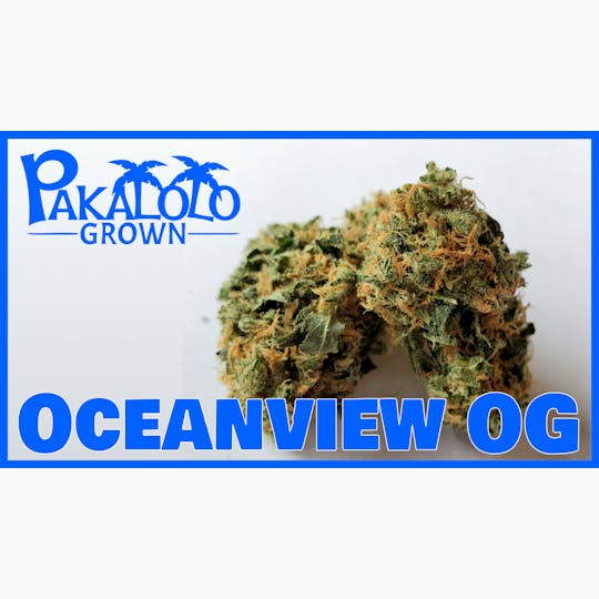 Pakalolo Supply Company - PSC | Oceanview | Flower | 14G - 1