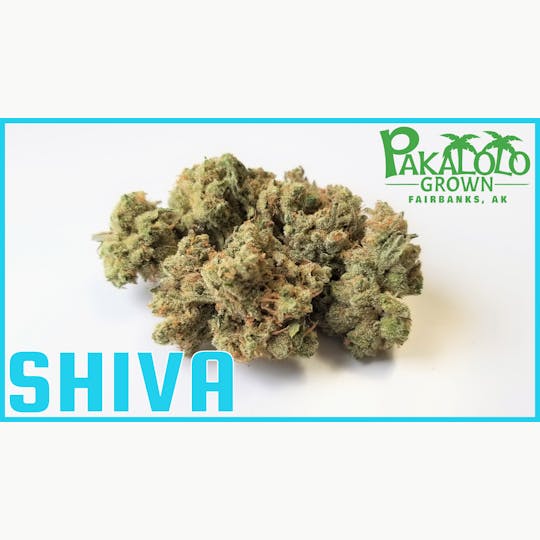 Pakalolo Supply Company - PSC | Shiva | Flower | 7G - 1