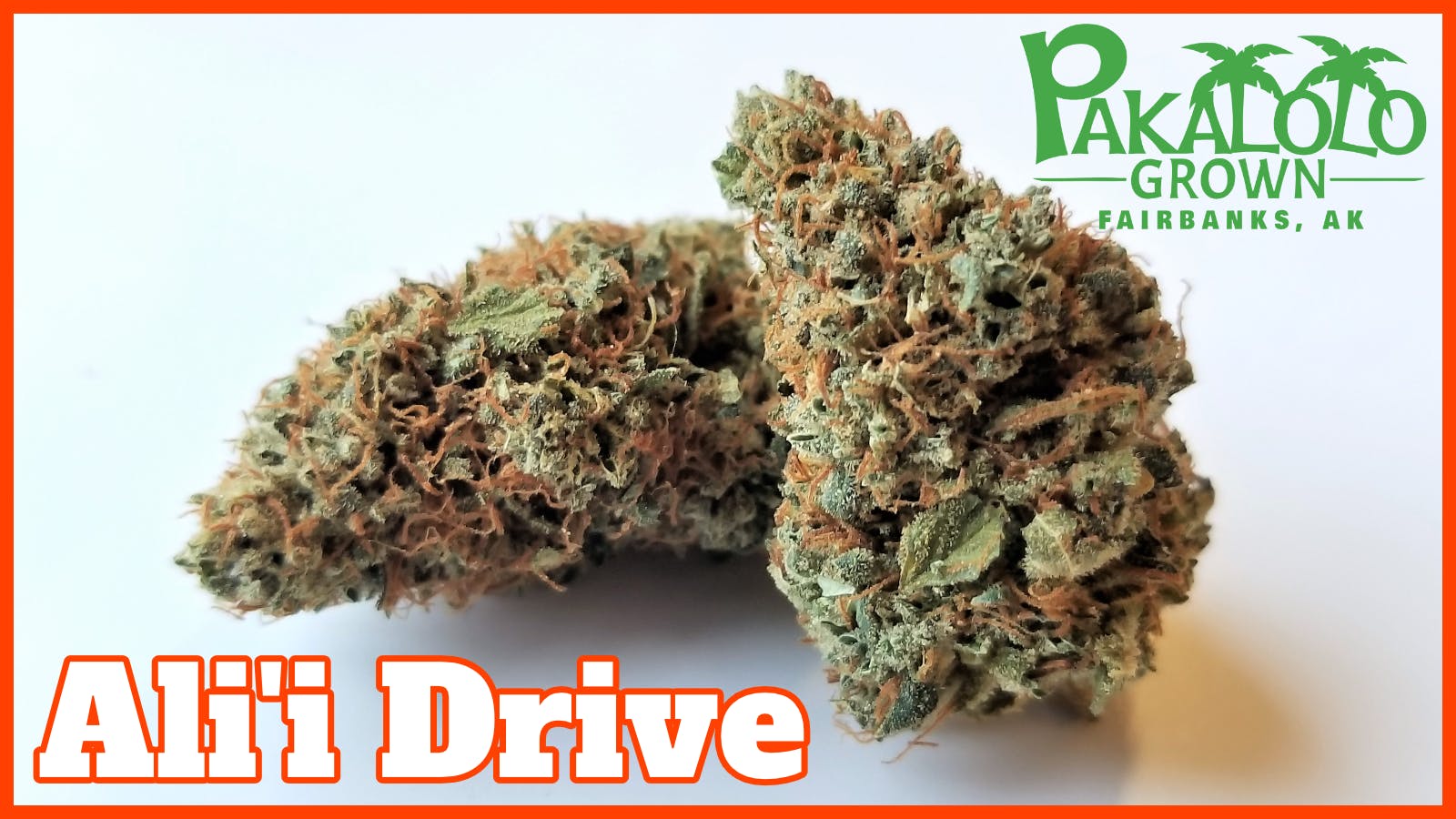 Pakalolo Supply Company - PSC | Ali'i Drive | Flower | 14G - 1