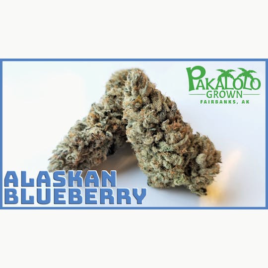 Pakalolo Supply Company - PSC | Alaskan Blueberry | Flower | 28G - 1