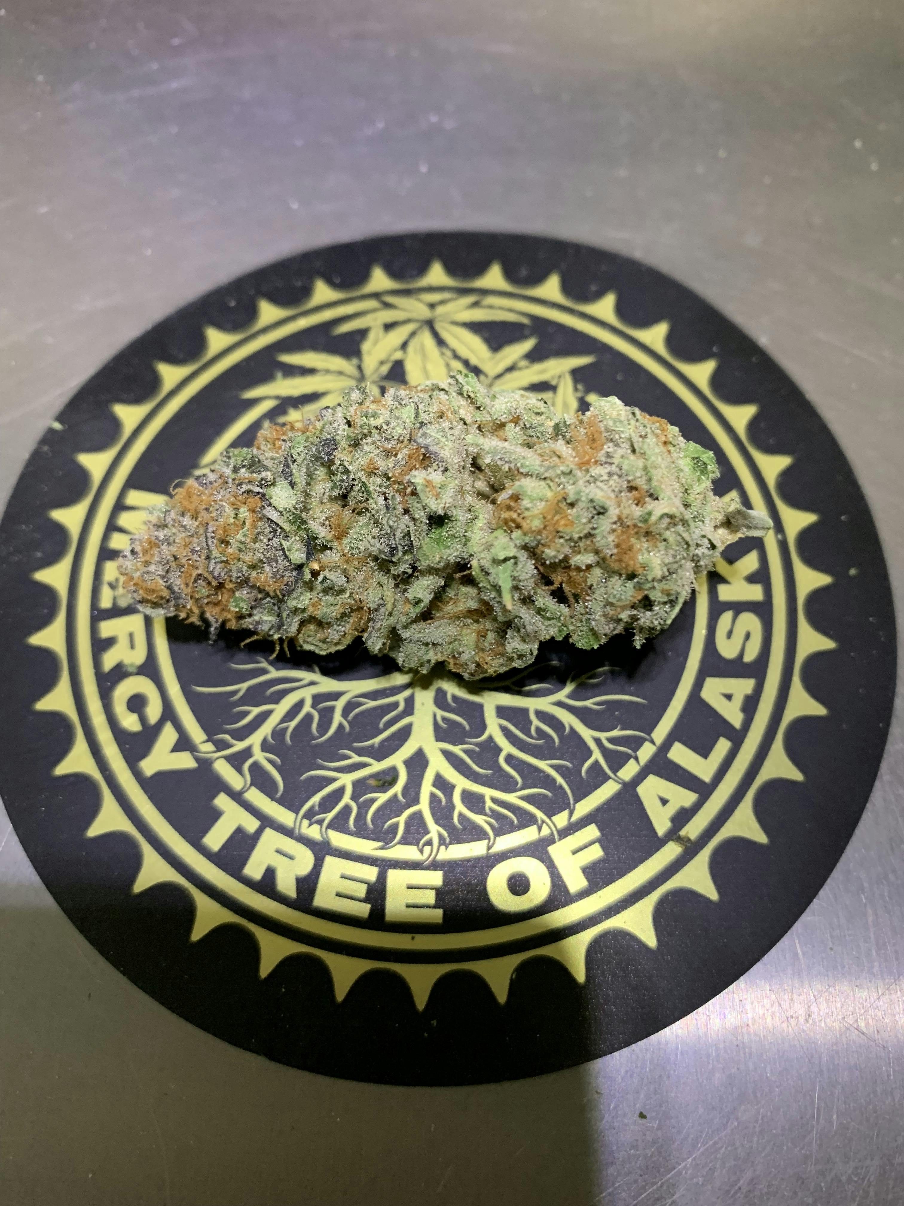 Mercy Tree of Alaska - MTA - Mimosa Flower 1g - 1