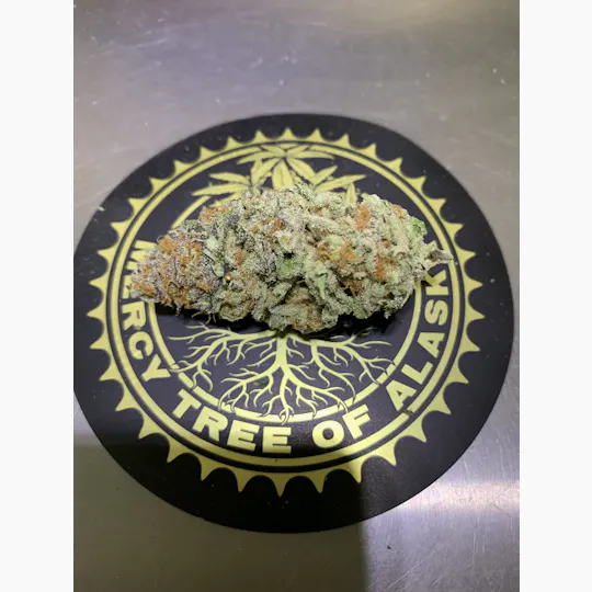 Mercy Tree of Alaska - MTA - Mimosa Flower 1g - 1