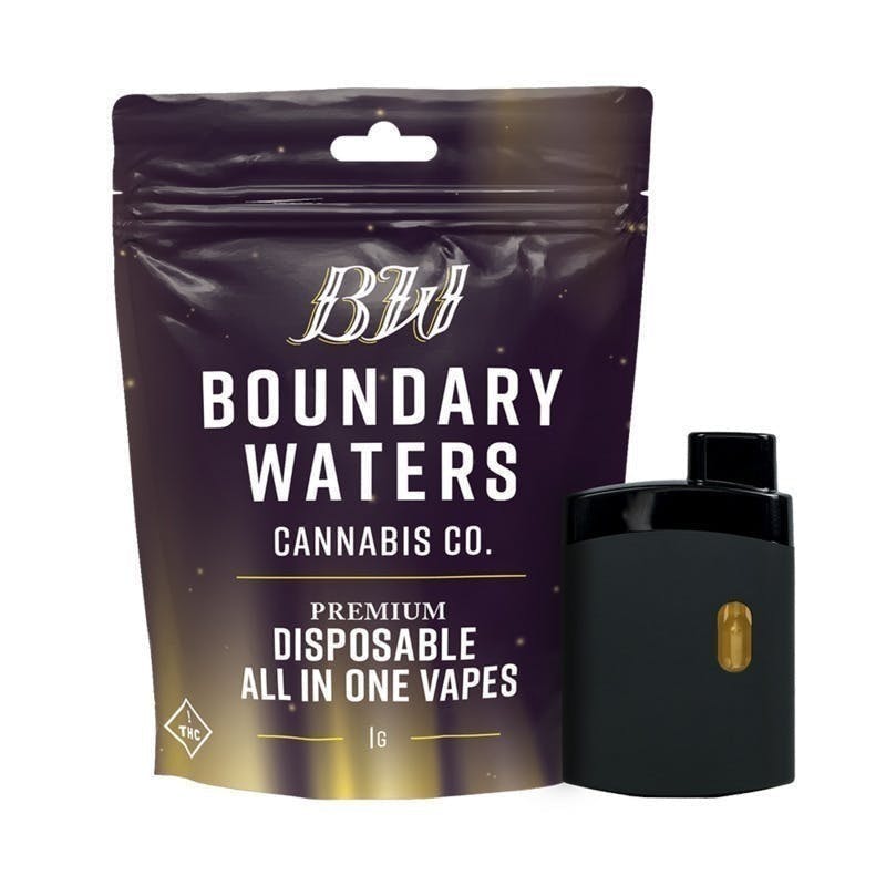 Boundary Waters - Pineapple Orange Burst | Disposable | 1g - 1
