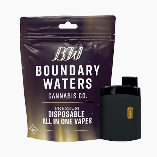 Boundary Waters - Pineapple Orange Burst | Disposable | 1g - 1