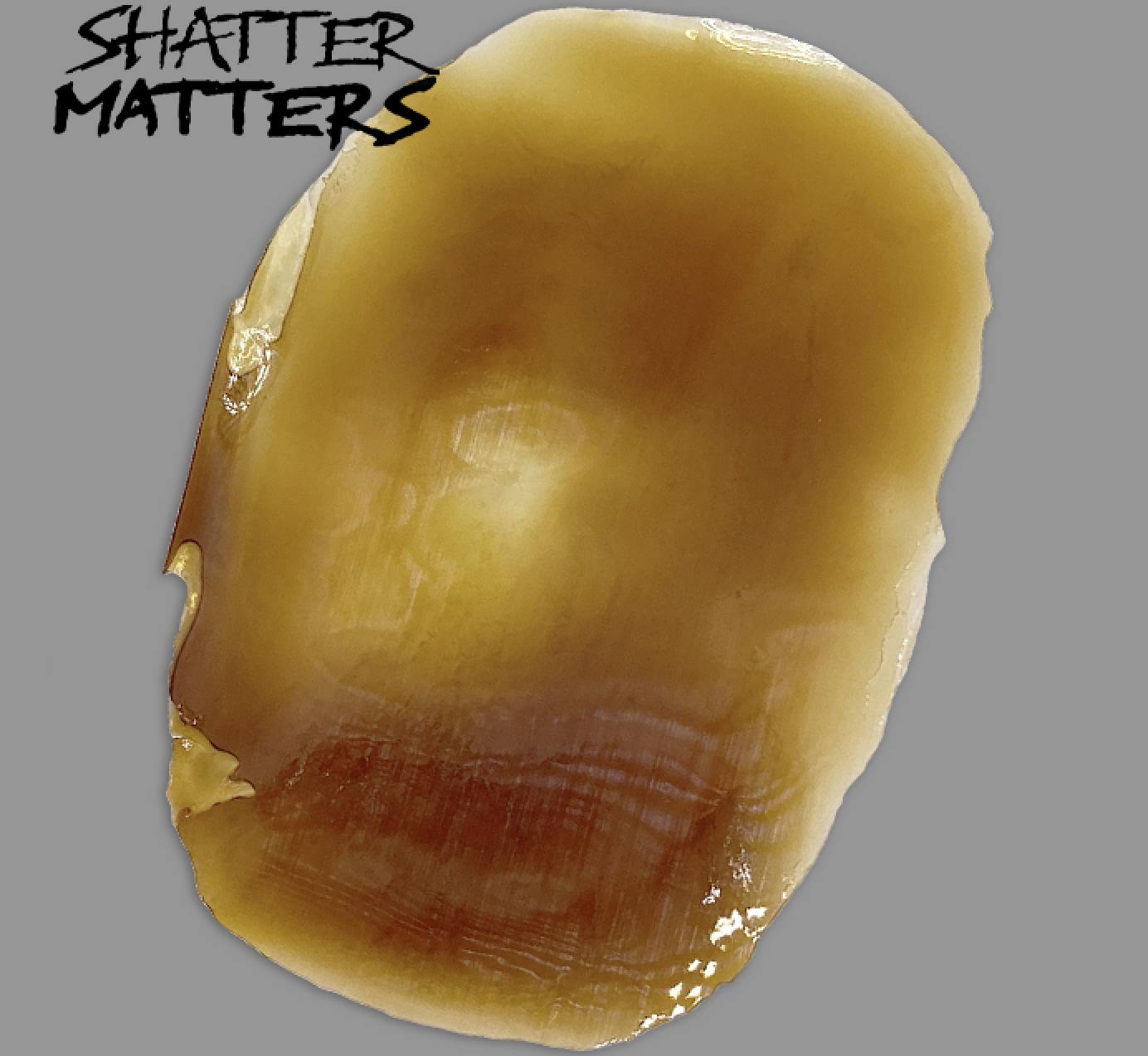 Purist Extracts - Purist Shatter Matters | Mimosa Punch Shatter | 1G - 1