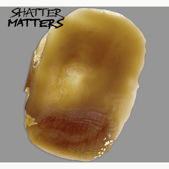 Purist Extracts - Purist Shatter Matters | Mimosa Punch Shatter | 1G - 1