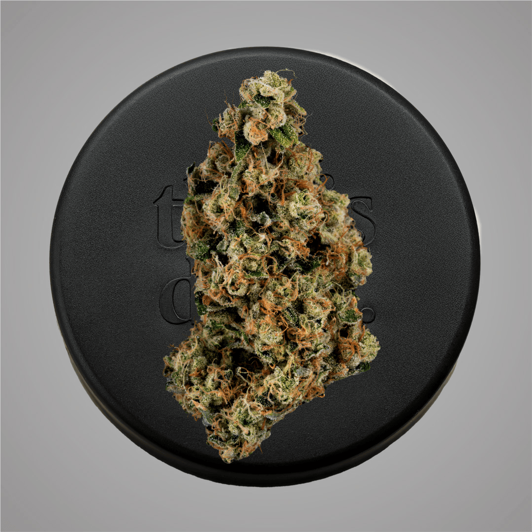 Niche - Fatso | 1g - 1