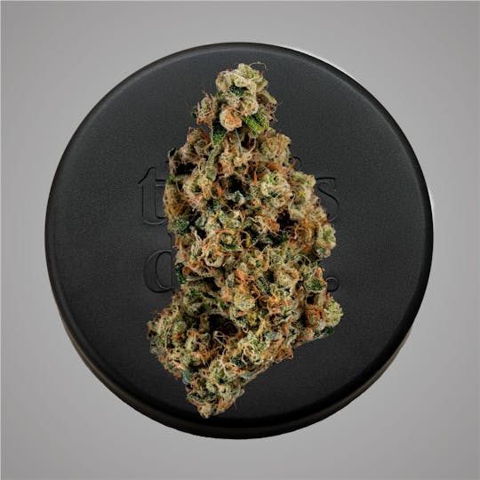 Niche - Fatso | 1g - 1