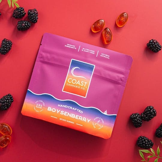 Coast Cannabis Co. - Boysenberry 1:4:1 CBC Gummies | 20ct - 1