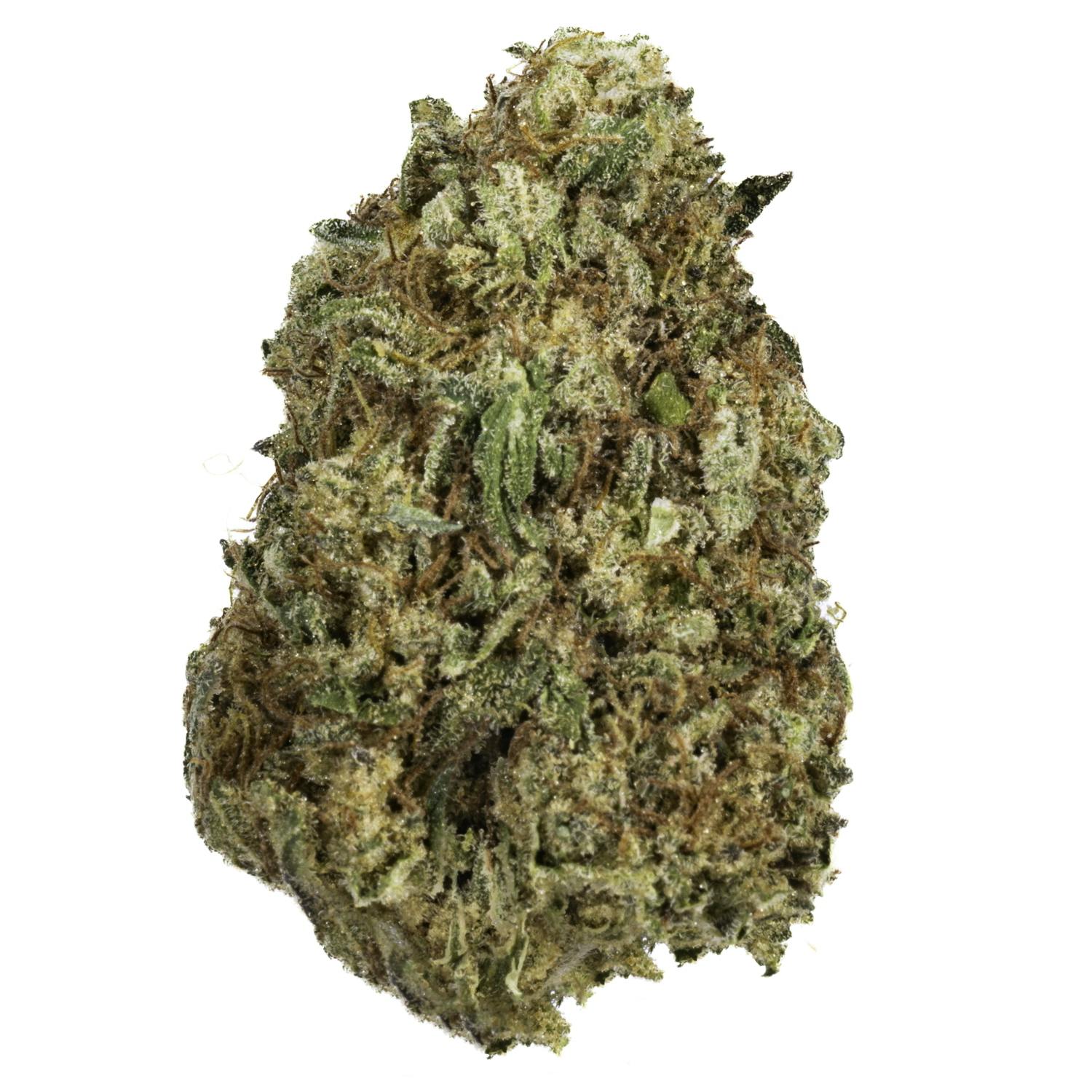 West Coast Cure - Purple Starfruit - 14G Premium Flower - 1