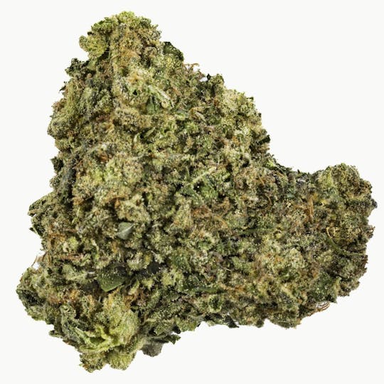 West Coast Cure - Froot Stripez - 14G Premium Flower - 1