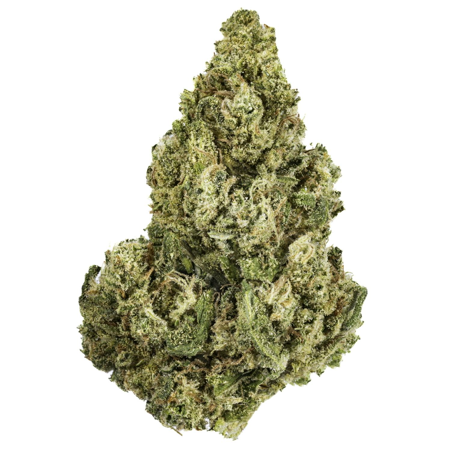 West Coast Cure - Blue Scream - 14G Premium Flower - 1