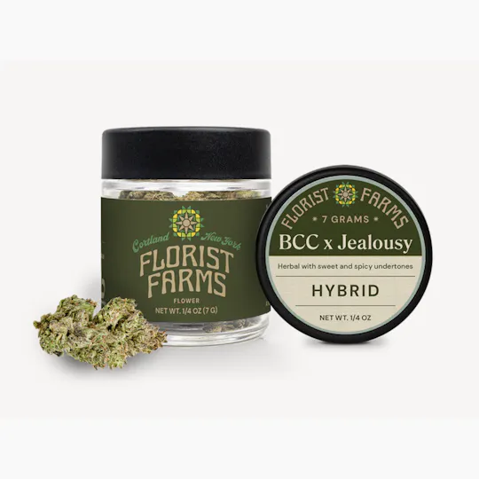Florist Farms - Florist Farms | BCC x Jealousy | Big Buds | 7g - 1