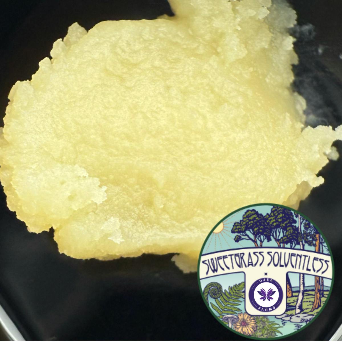 U4EA Farms - Papaya Splash Cold Cured Live Hash Rosin 1g - 1