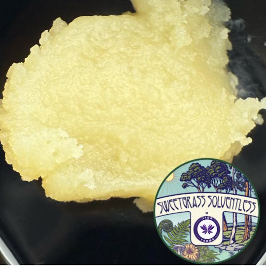 U4EA Farms - Papaya Splash Cold Cured Live Hash Rosin 1g - 1