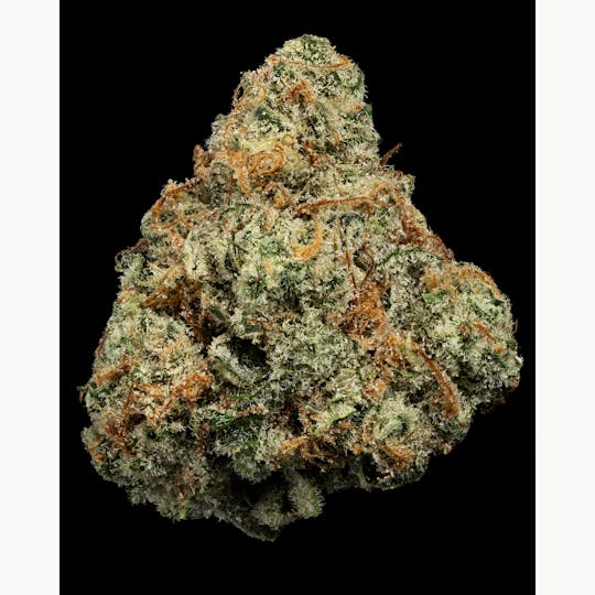 U4EA Farms - Where's My Bike Flower 3.5g - 1