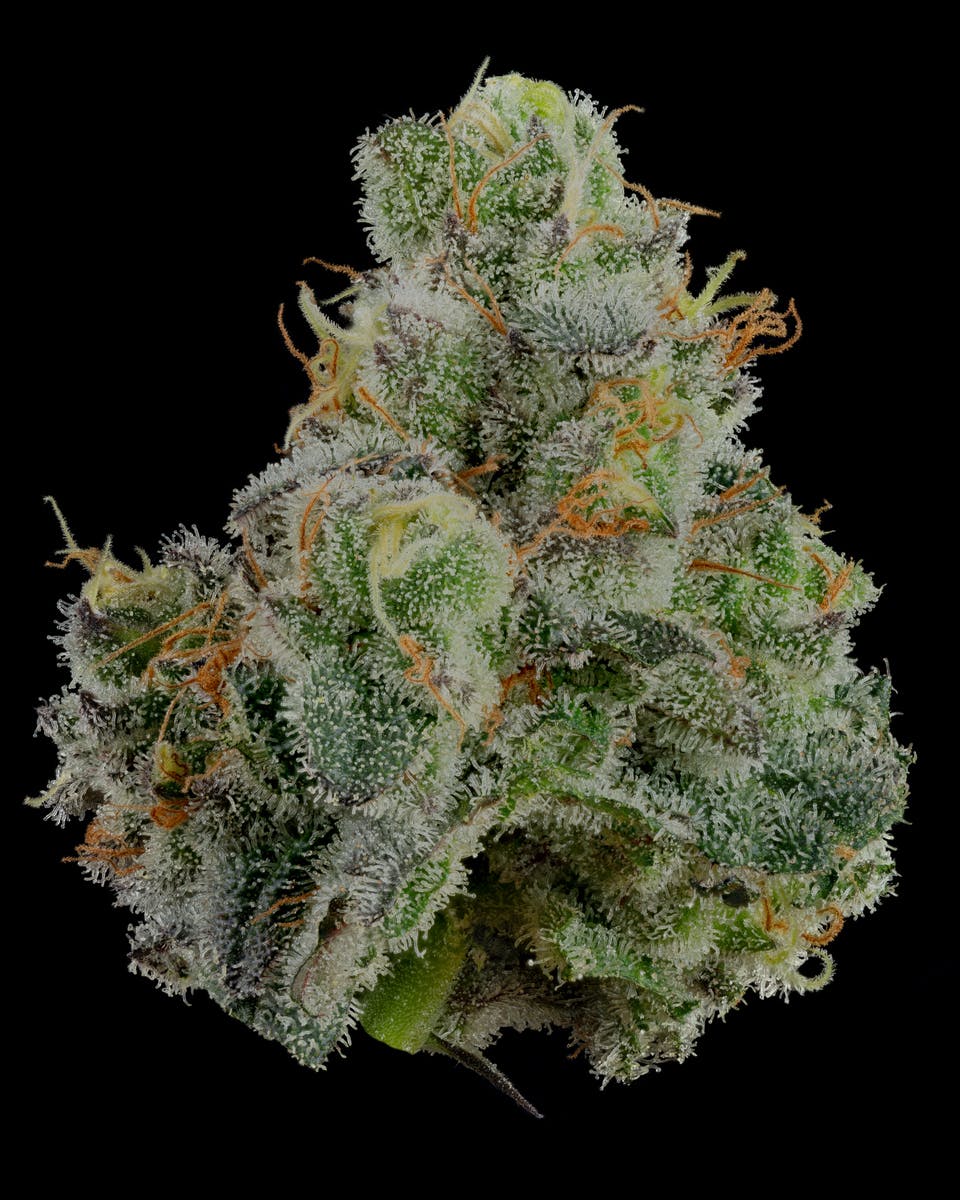 U4EA Farms - Space Runtz Flower 3.5g - 1