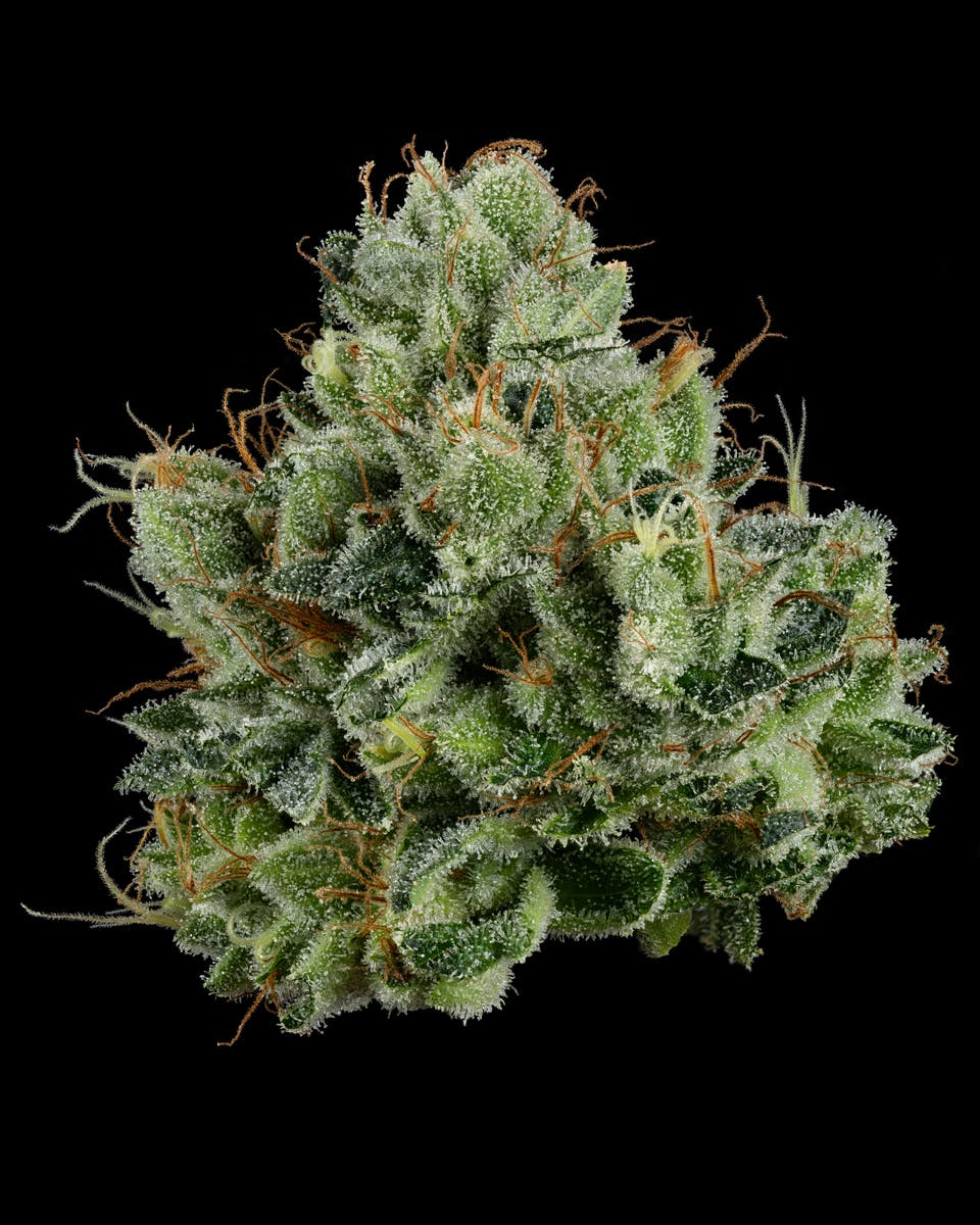 U4EA Farms - Permanent Marker Flower 3.5g - 1