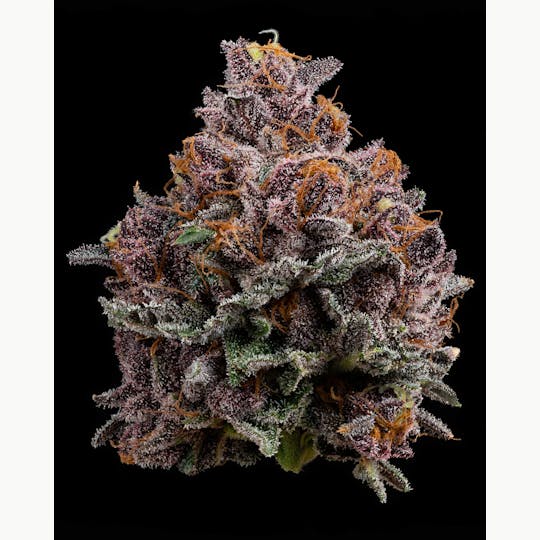 U4EA Farms - Cherry Whip Flower 3.5g - 1