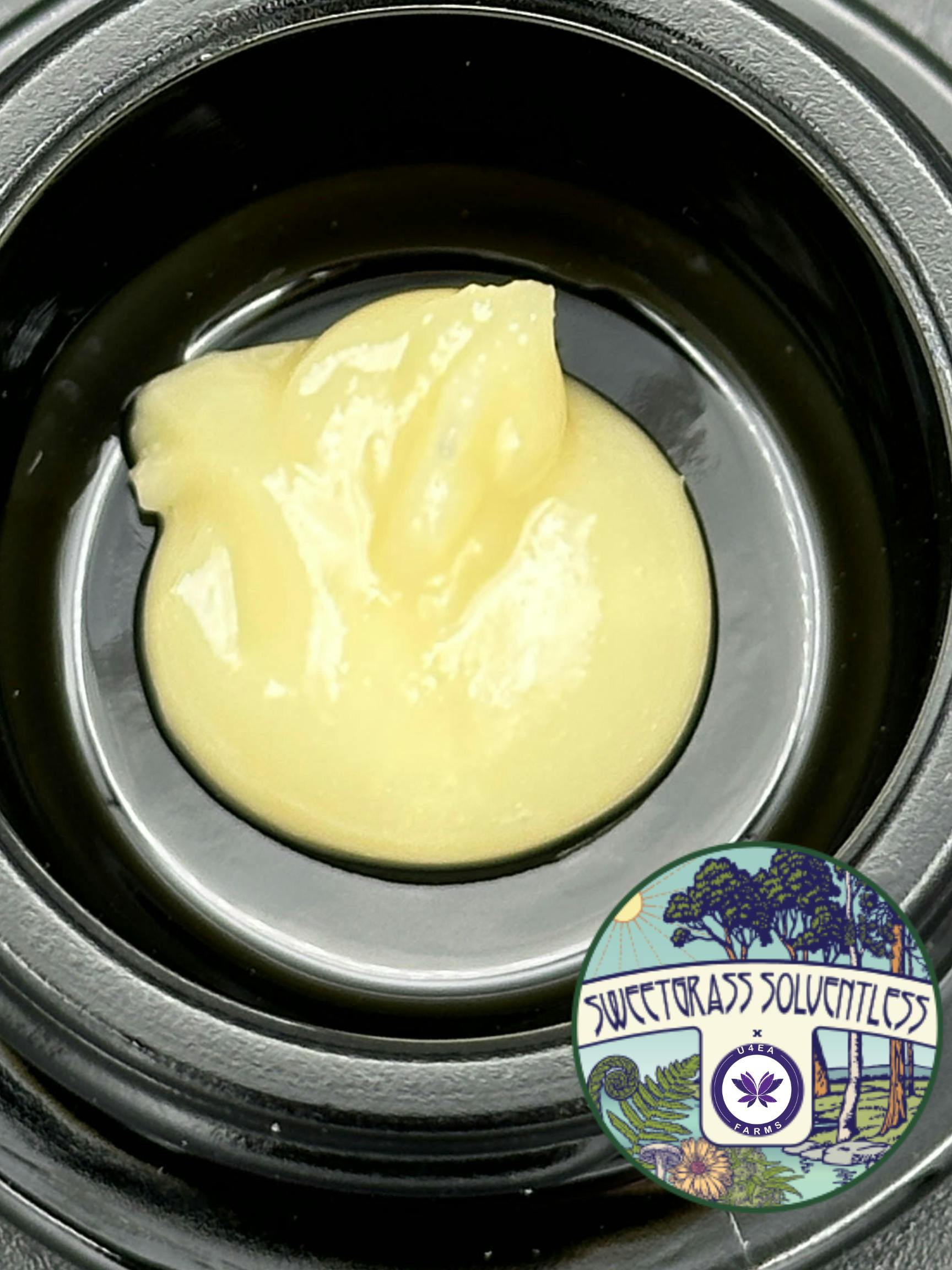 U4EA Farms - Pie Dough Cold Cured Live Hash Rosin 1g - 1