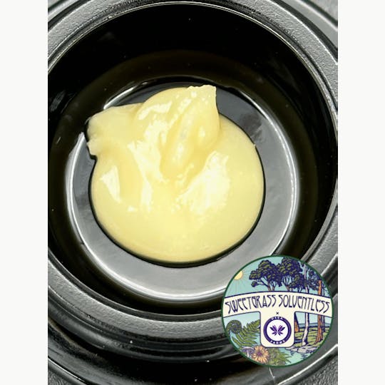 U4EA Farms - Pie Dough Cold Cured Live Hash Rosin 1g - 1