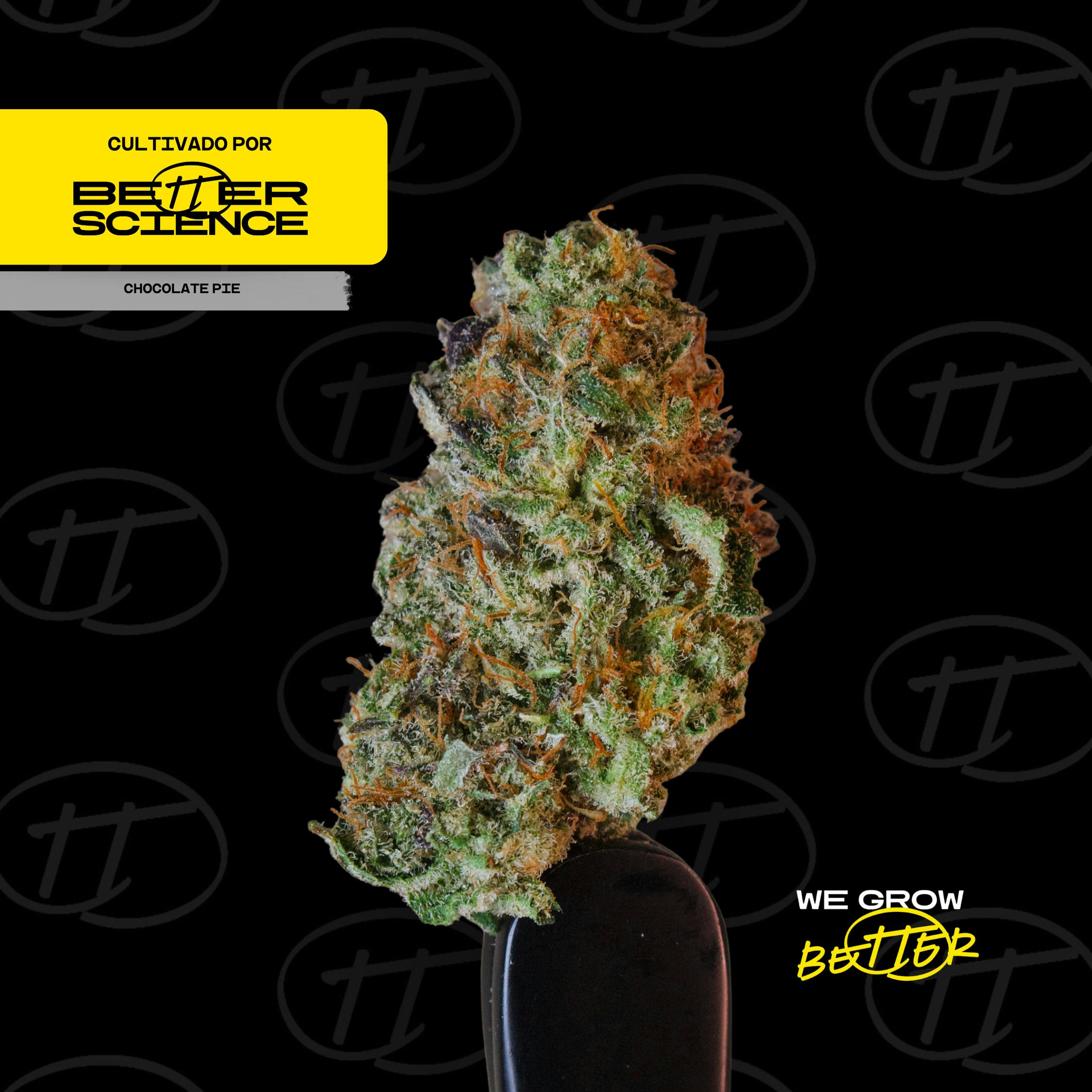 Better Science - BSC - Chocolate Pie 2 - Smalls - 1