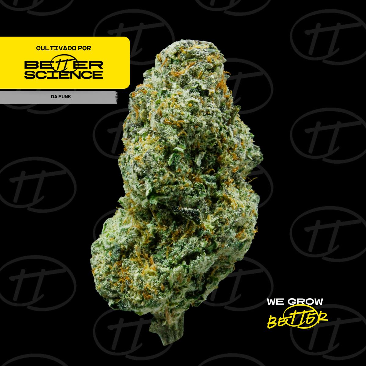 Better Science - BSC - Da Funk 1 - Flor - 1