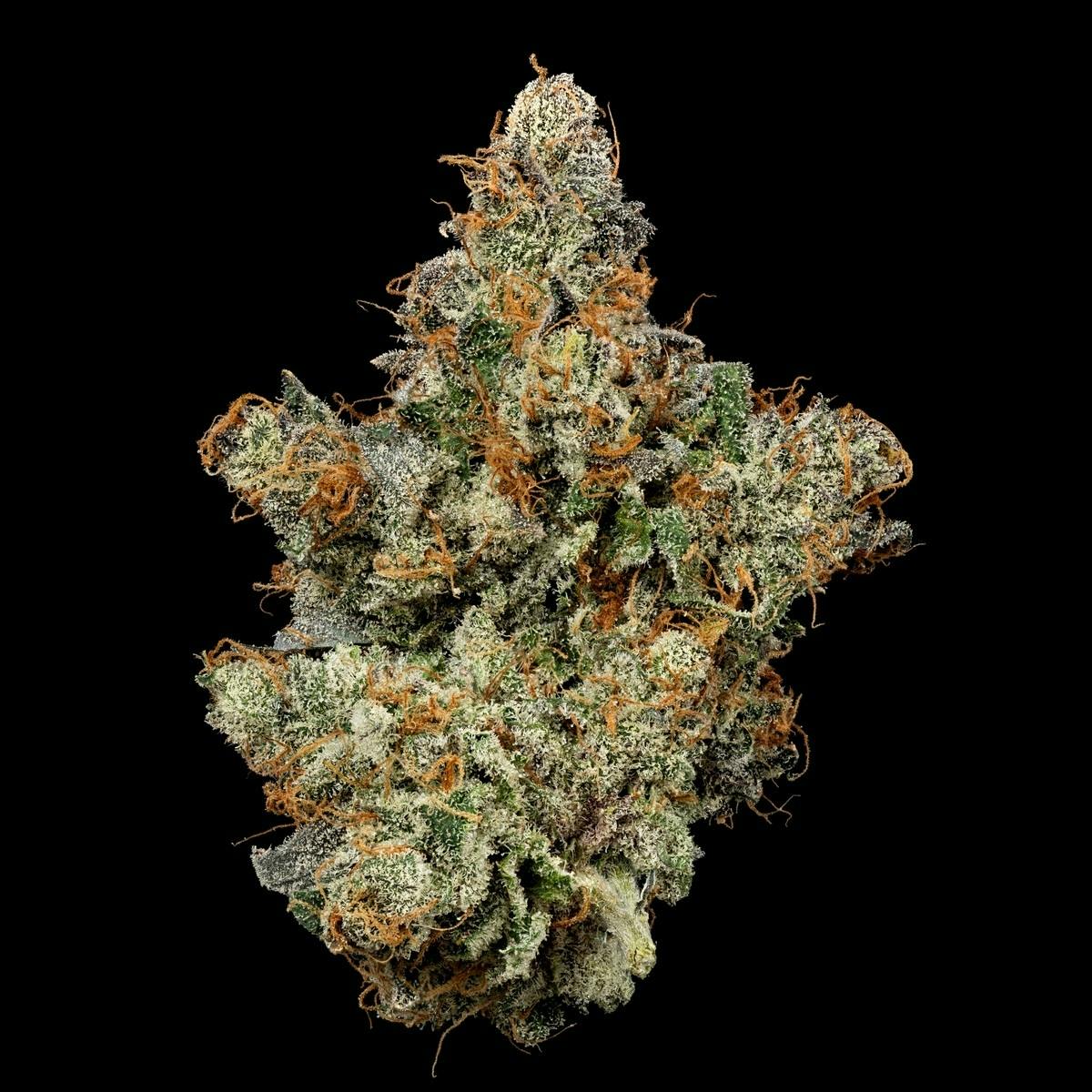 U4EA Farms - Black Patronus Flower 3.5g (COMING 2026) - 1