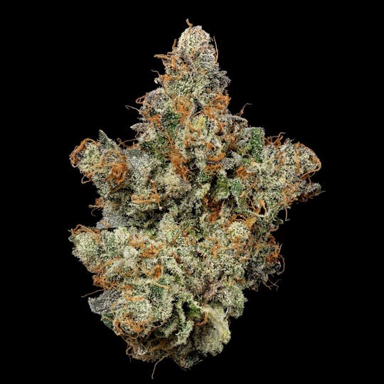 U4EA Farms - Black Patronus Flower 3.5g (COMING 2026) - 1