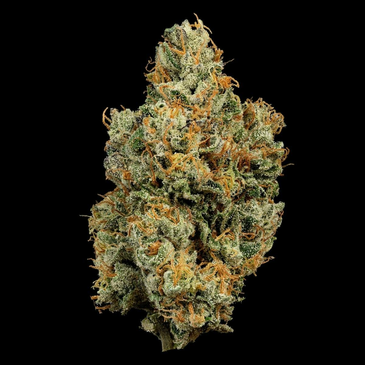U4EA Farms - Amalfi Coast Flower 3.5g (Coming 2026) - 1