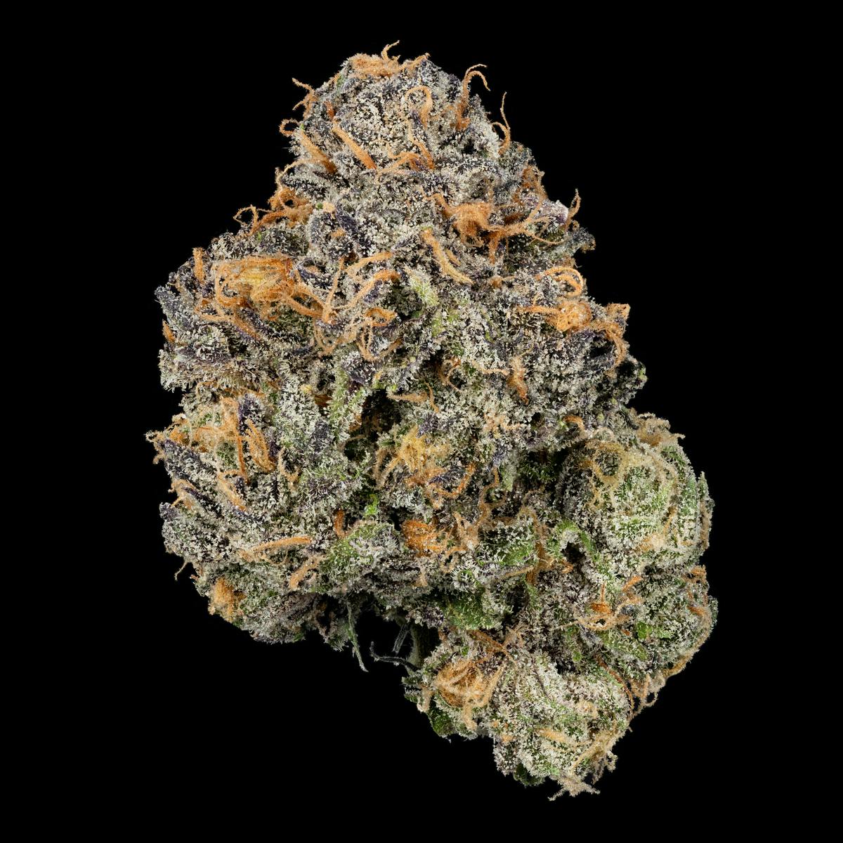 U4EA Farms - Grandaddy Purp Flower 3.5g (COMING 2026) - 1