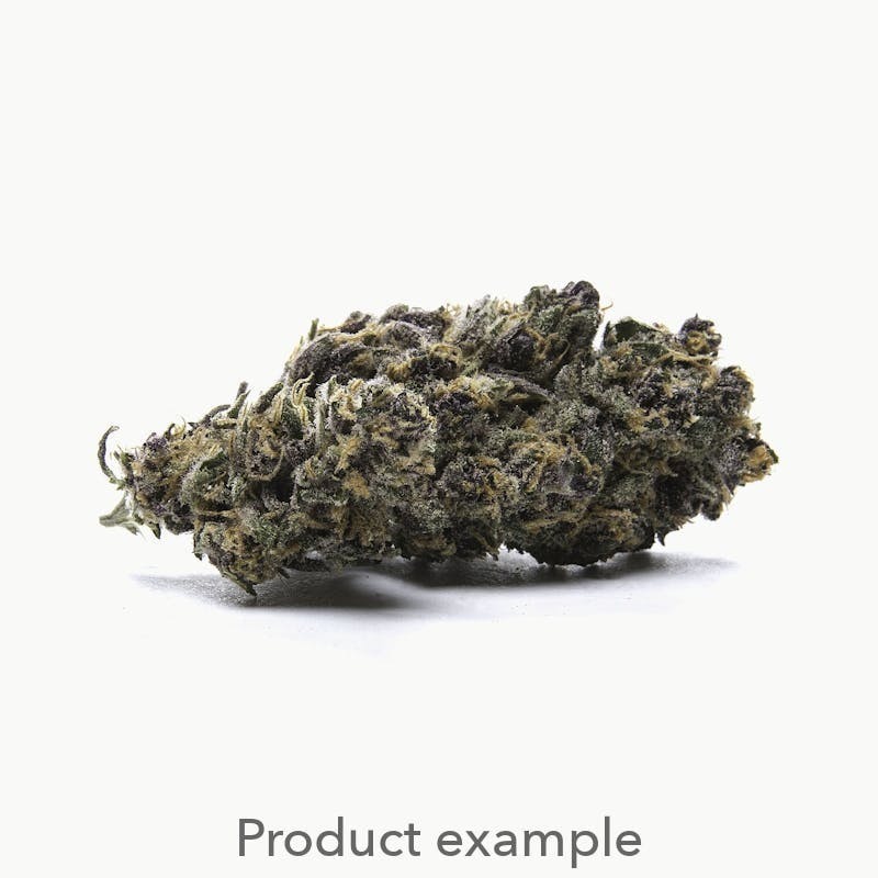 DNG Medicated - Miss Clementine Bulk 1g - 1