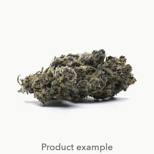 DNG Medicated - Miss Clementine Bulk 1g - 1