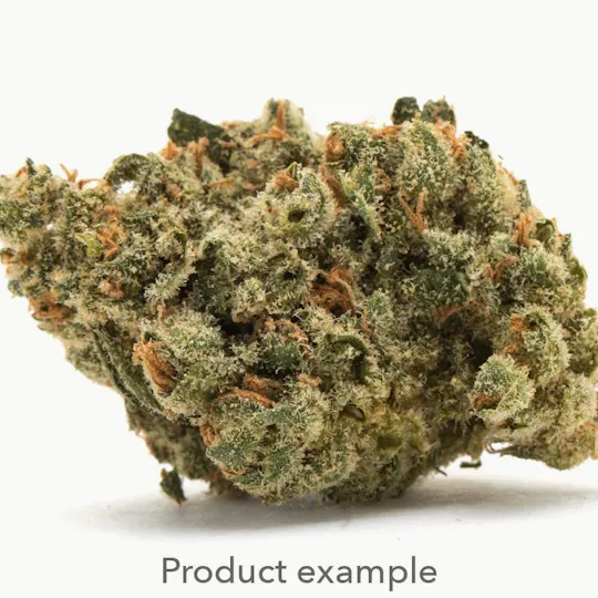 DNG Medicated - DNG Medicated | Black Maple | Big Buds | 1g - 1