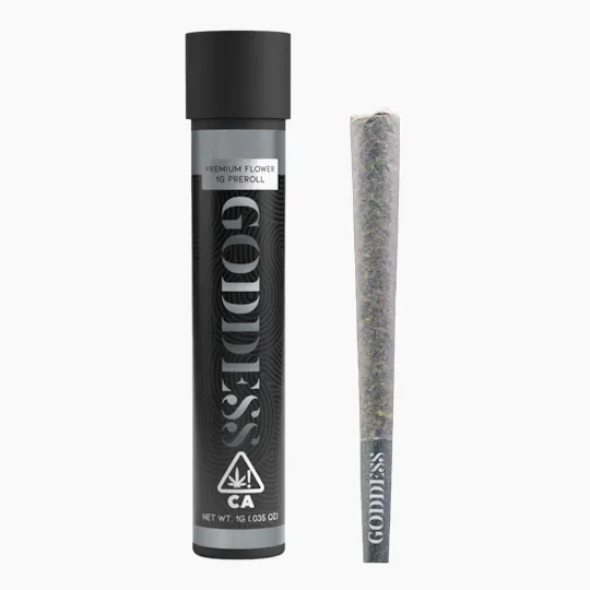 Goddess - Gasnana 1G Preroll - 1