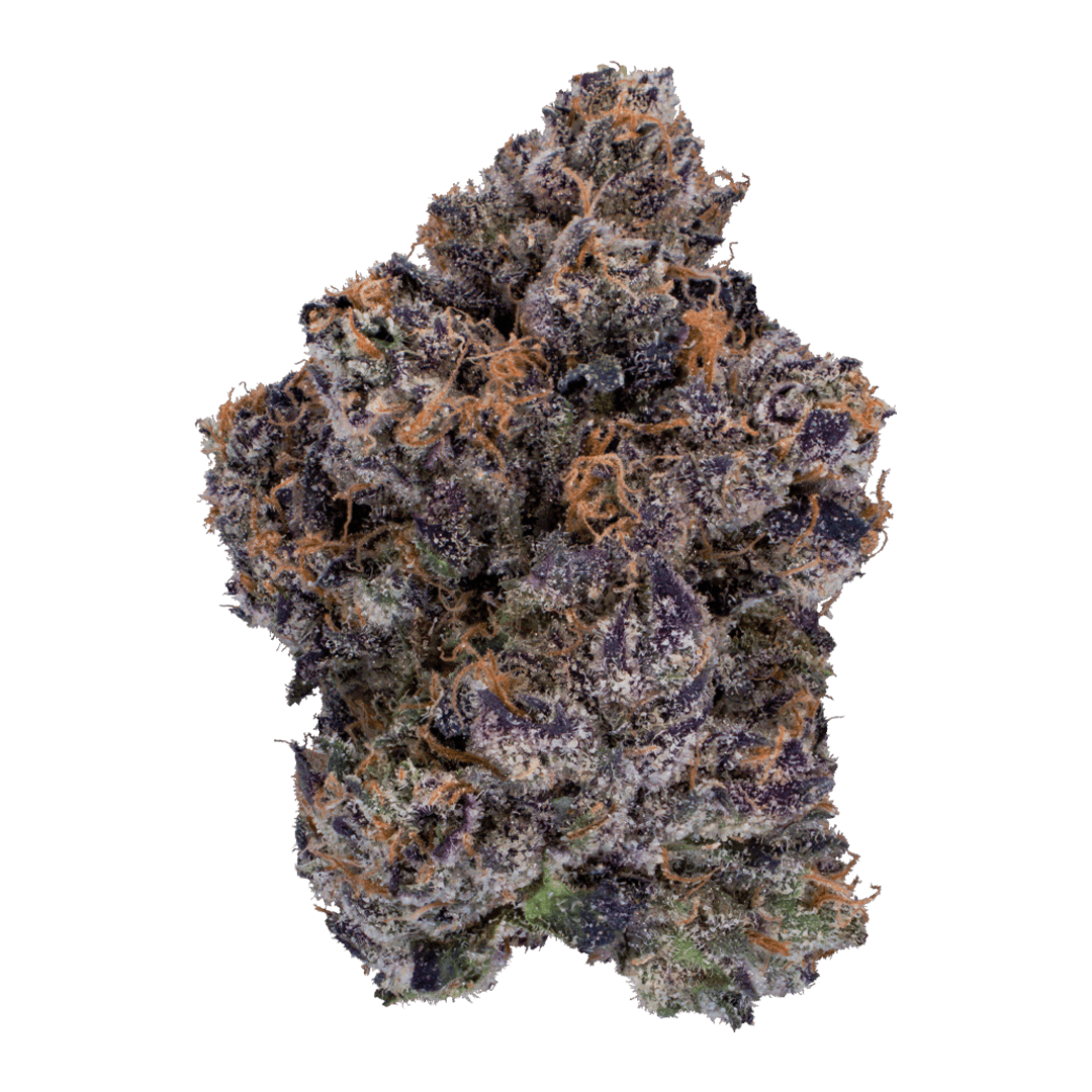 XOTX - Sherblato Runtz 28G - 1