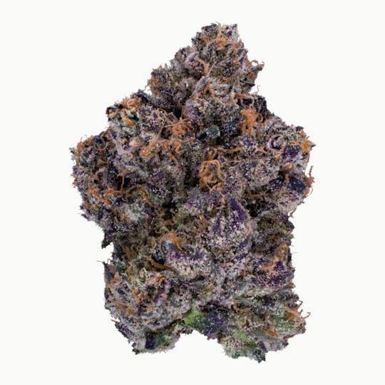 XOTX - Sherblato Runtz 28G - 1