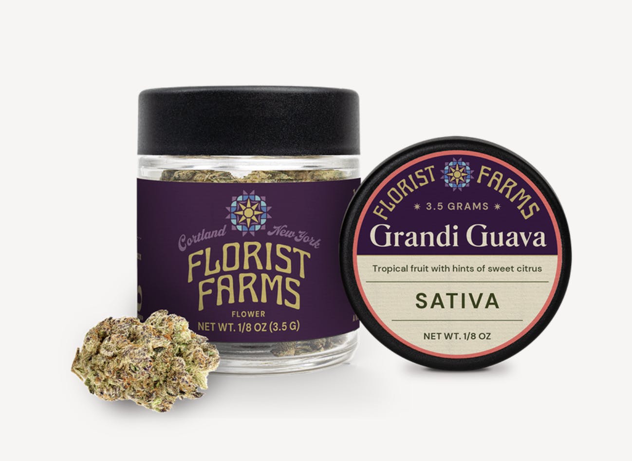 Florist Farms - Florist Farms | Grandi Guava | Big Buds | 3.5g - 1