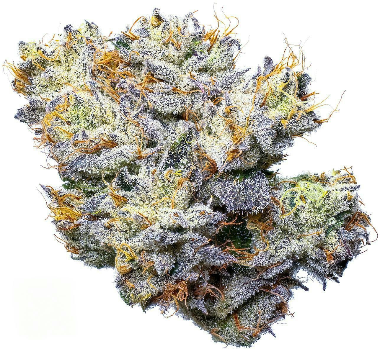 Fig Farms - Fig Farms | Fig OG | Big Buds - 1