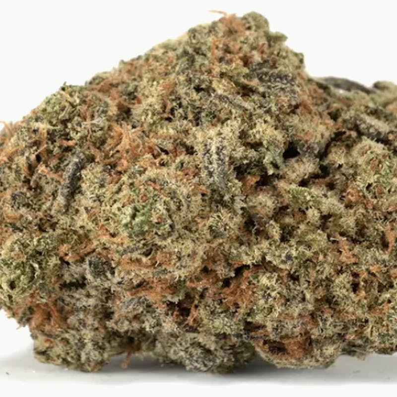 Magnolia High - Rainbow Sherbert #11 Flower 3.5g - 1