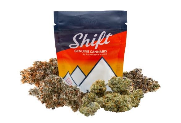 Shift Cannabis - Shift | Glaciers | 7g Flower - 1