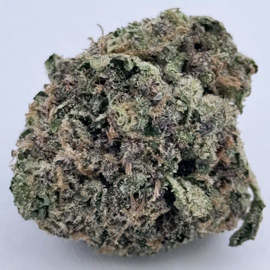 Ayo - Ayo- Marshmallow Nights Flower 3.5g - 1