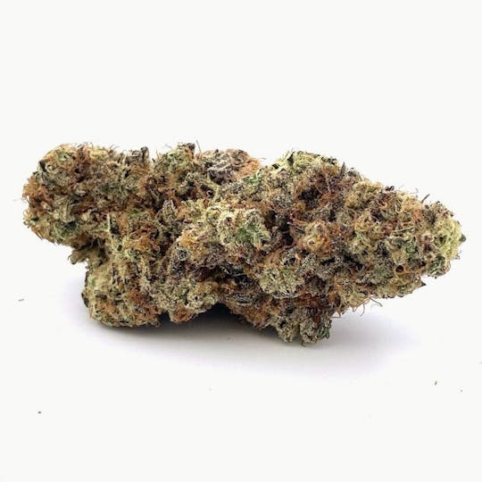 Ayo - Ayo- Mandarin Cookies Flower 3.5g - 1