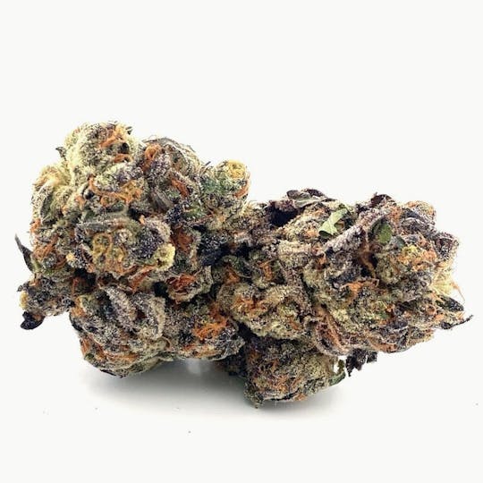 Ayo - Ayo- Animal Tsunami Flower 3.5g - 1